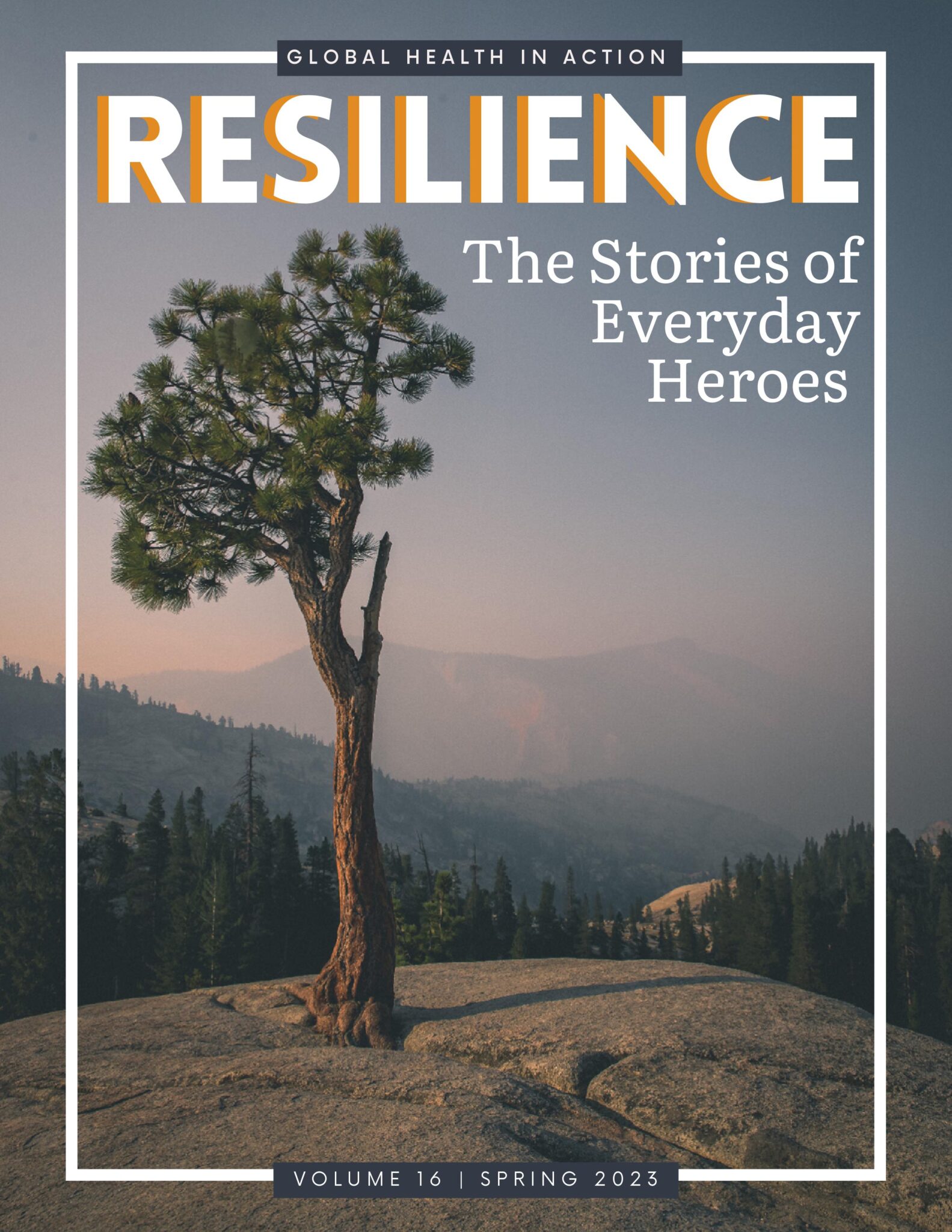 the cover the the resilience edition features a tree alone on a mountain