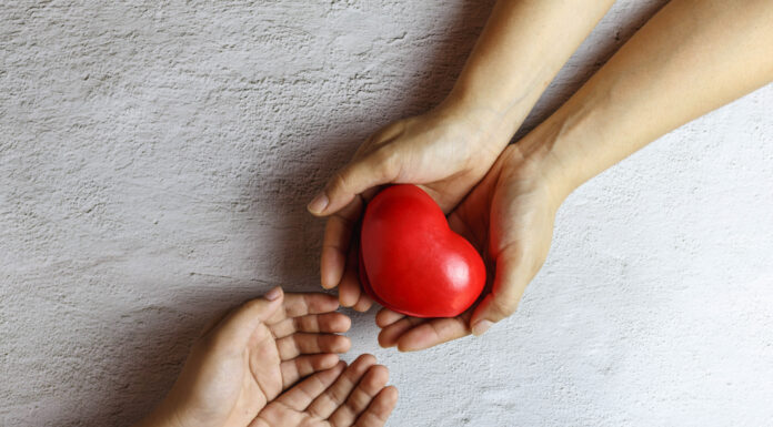 MUSM professor to lead initiative focused on organ donation, transplant education Heart in hand giving heart donation concept.