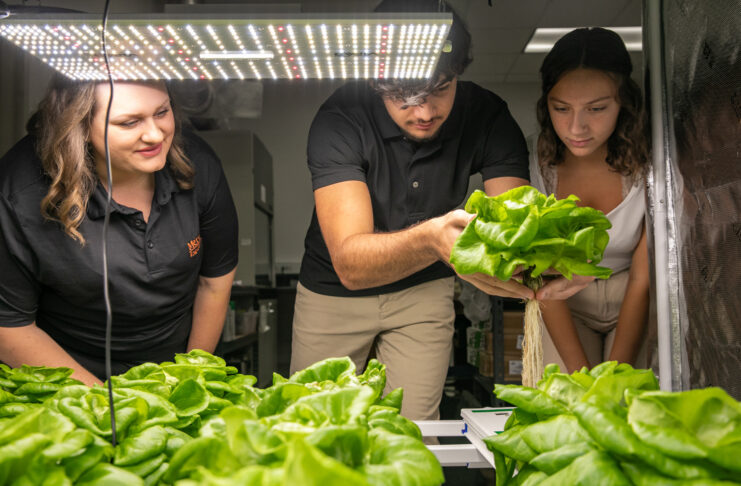 a student in the middle pulls up a head of lettuce while two people on either side look on