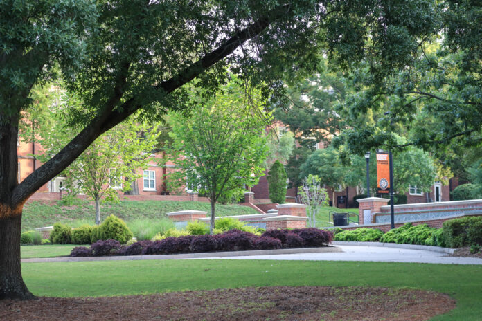 A view of the Macon campus through a tree, with the fountains in the background.