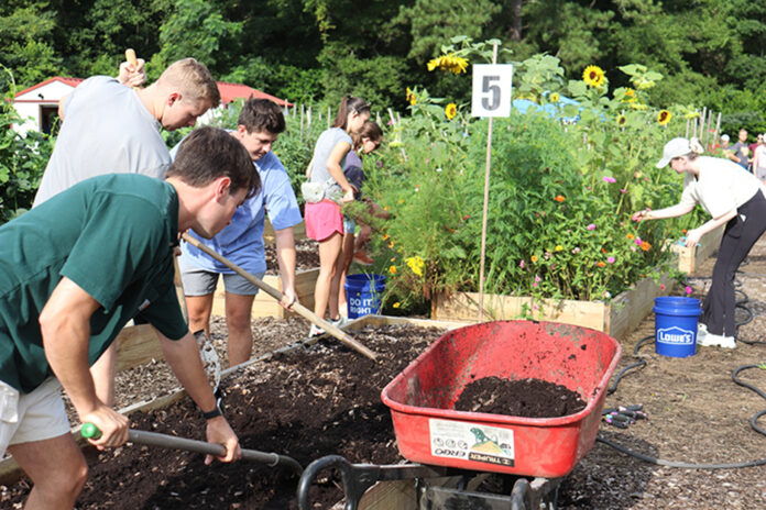 students shovel soil in a garden bed