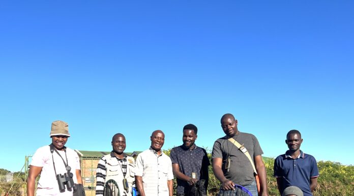 Professor’s dream of STEAM center in Malawi becomes a reality 7 adults posing in Southeast African field