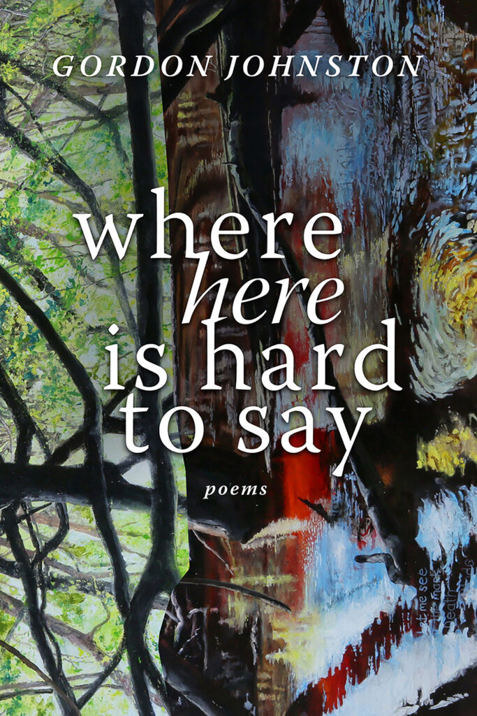 The cover of the book "Where Here is Hard to Say."