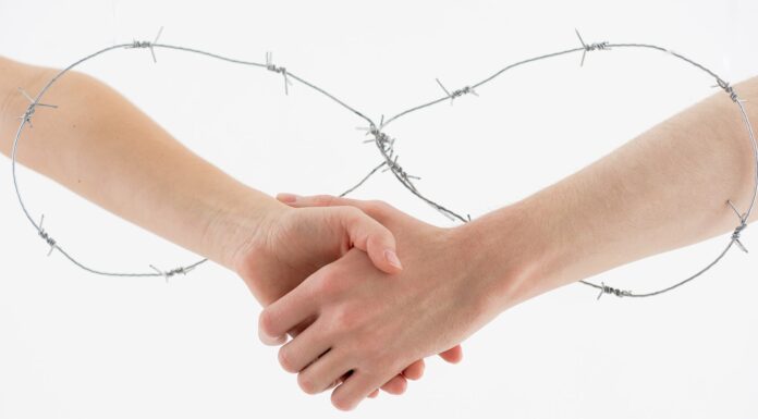 In offering peace, one man risked his arm Two People Shaking Hands Through Barbed Wire