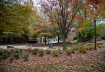 Georgia Trend’s 40 Under 40 list includes two Mercer professors Park scene with autumn leaves, a circular seating area with benches, brick pathway, trees with orange leaves, and a lamppost.