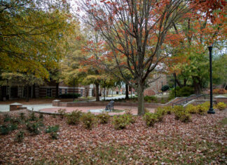 Georgia Trend’s 40 Under 40 list includes two Mercer professors Park scene with autumn leaves, a circular seating area with benches, brick pathway, trees with orange leaves, and a lamppost.