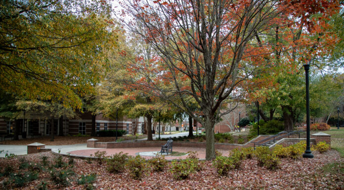 Georgia Trend’s 40 Under 40 list includes two Mercer professors Park scene with autumn leaves, a circular seating area with benches, brick pathway, trees with orange leaves, and a lamppost.