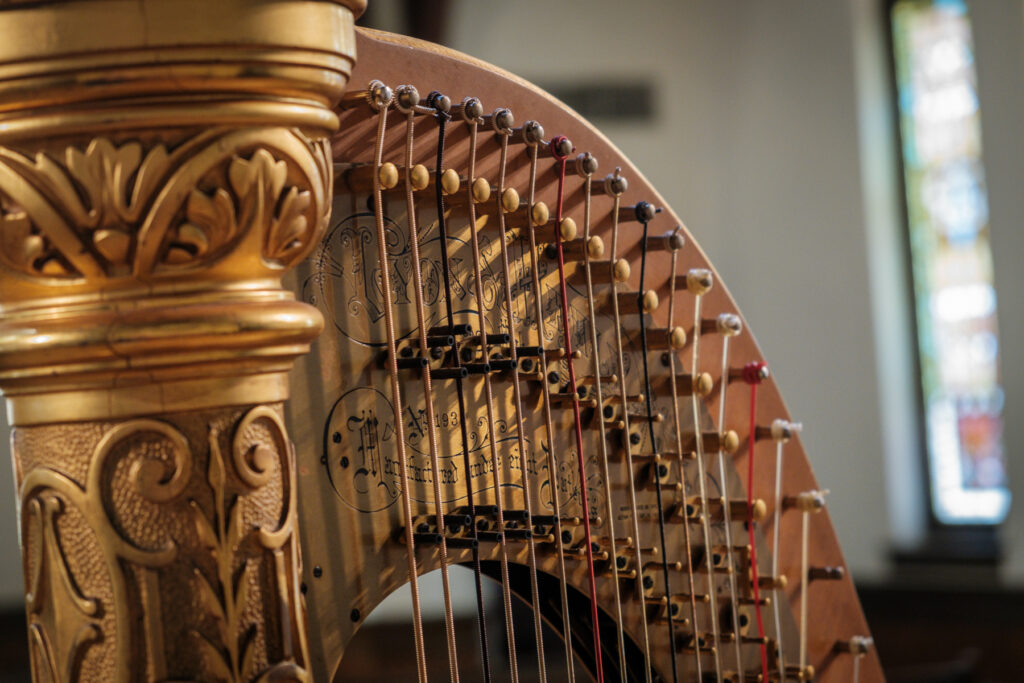 close up of harp strings