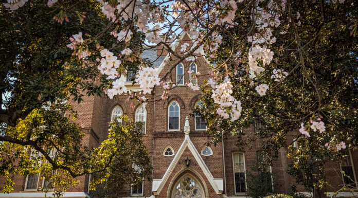 ‘We are being grasped by what we cannot grasp’ | Dr. Craig McMahan Cherry blossoms in front of Mercer's Administration Building.