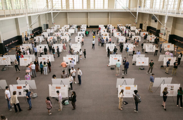 overhead indoor shot of rows of easels/posters and students