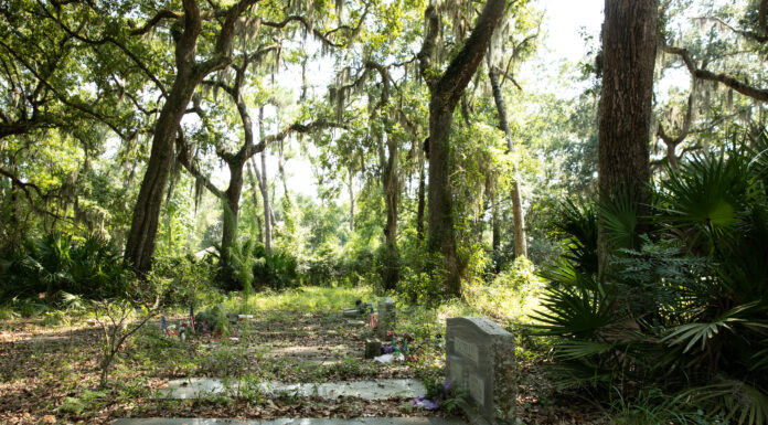 Coastal Georgia Research Initiative event to celebrate Gullah Geechee and African American life and culture on St. Simons Island Old graves with headstones on St. Simons Island