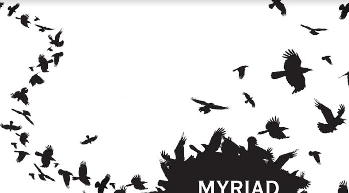 Students, recent grads win Columbia Scholastic Press Association’s Gold Circle Awards The cover image for "MYRIAD: The Dulcimer | Volume LXV | Mercer University" features a minimalist design with a flock of black birds in various flying positions against a white background.