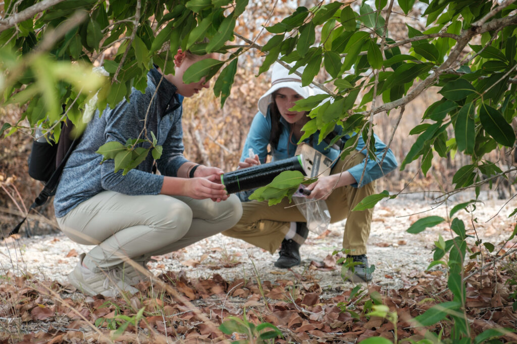 Two Mercer University students crouch down examining a black cylinder, one holding the cylinder and the other a spray bottle, surrounded by green foliage.