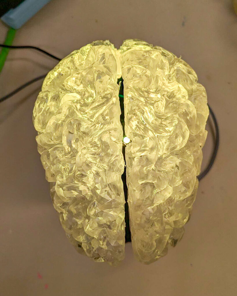 Top view of an illuminated model of the brain, sitting on a stand.