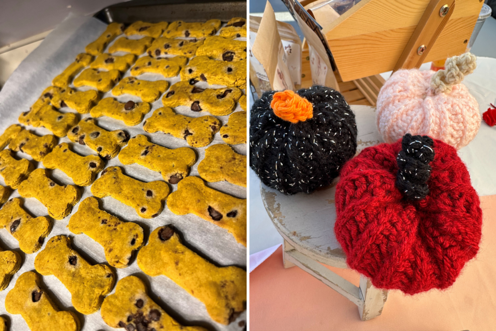 Left: A tray of bone-shaped dog treats. Right: Three knitted pumpkins in black, pink and red.