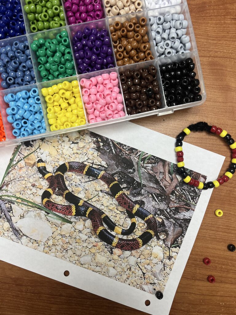 Box of colorful beads, image of a coral snake on a sheet, and a beaded bracelet on a wooden surface.