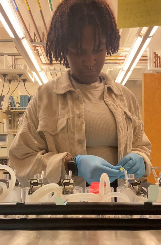 Person in a lab setting wears gloves, working with equipment and tubes, focused on a task at a lab bench.