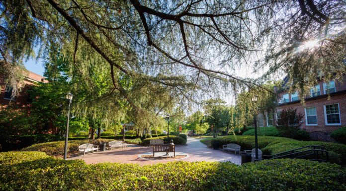Sophomore Ellen Jones awarded CDC Lewis Scholars position A brick courtyard with benches is surrounded by greenery, trees, and buildings on a sunny day.