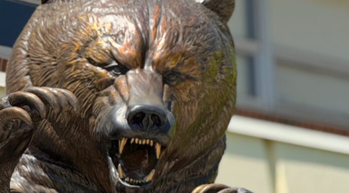 Graduate Spotlight: James Stephens James Stephens, in a graduation gown and cap, stands in front of a large bear statue.