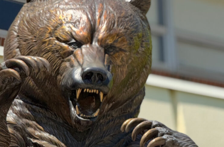 James Stephens, in a graduation gown and cap, stands in front of a large bear statue.