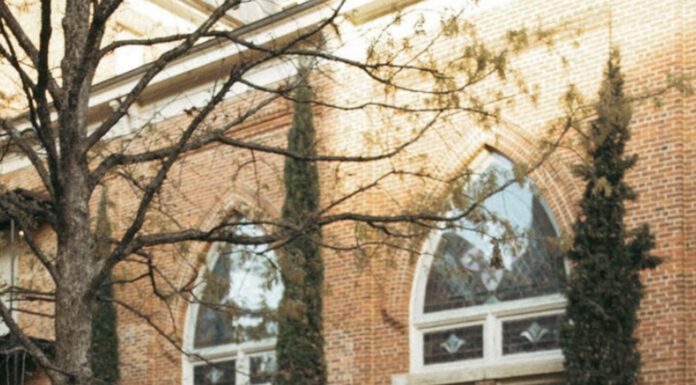 Graduate Spotlight: Lucy Roach Lucy Roach in a white dress and orange graduation stole stands and smiles in a courtyard with tables and umbrellas.