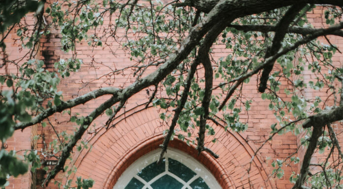 Graduate Spotlight: Madison Adams Madison Adams wears a green and black graduation robe.