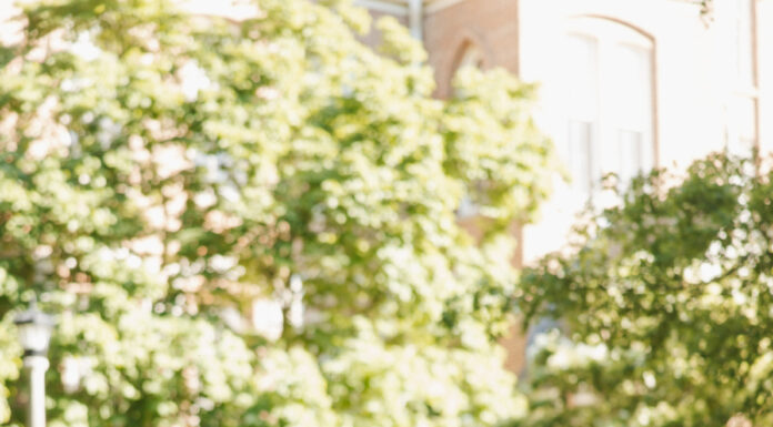Graduate Spotlight: Bre’Ijaha Swain-Garland Woman in a black dress stands on grass, smiling and holding a graduation cap, with stoles draped around her neck.