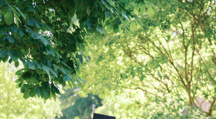 Graduate Spotlight: Maegan Ennis Maegan Ennis in a white dress and orange stole, holding up a graduation cap.