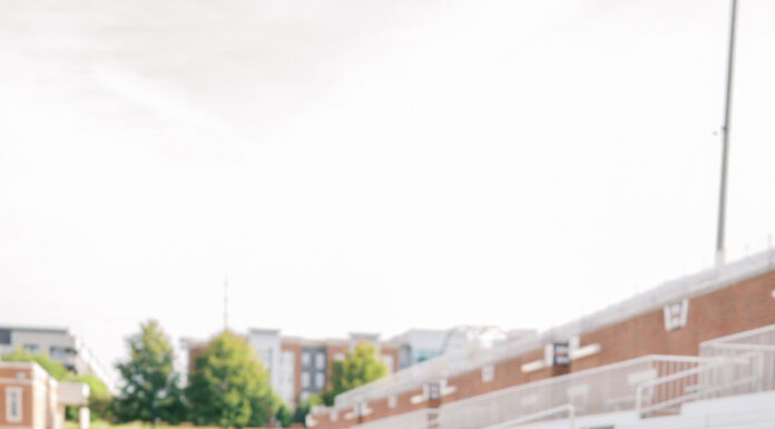 Graduate Spotlight: Reese Robertson Reese Robertson, in a graduation stole and dress, sits on stadium bleachers, holding her cap and smiling at the camera.
