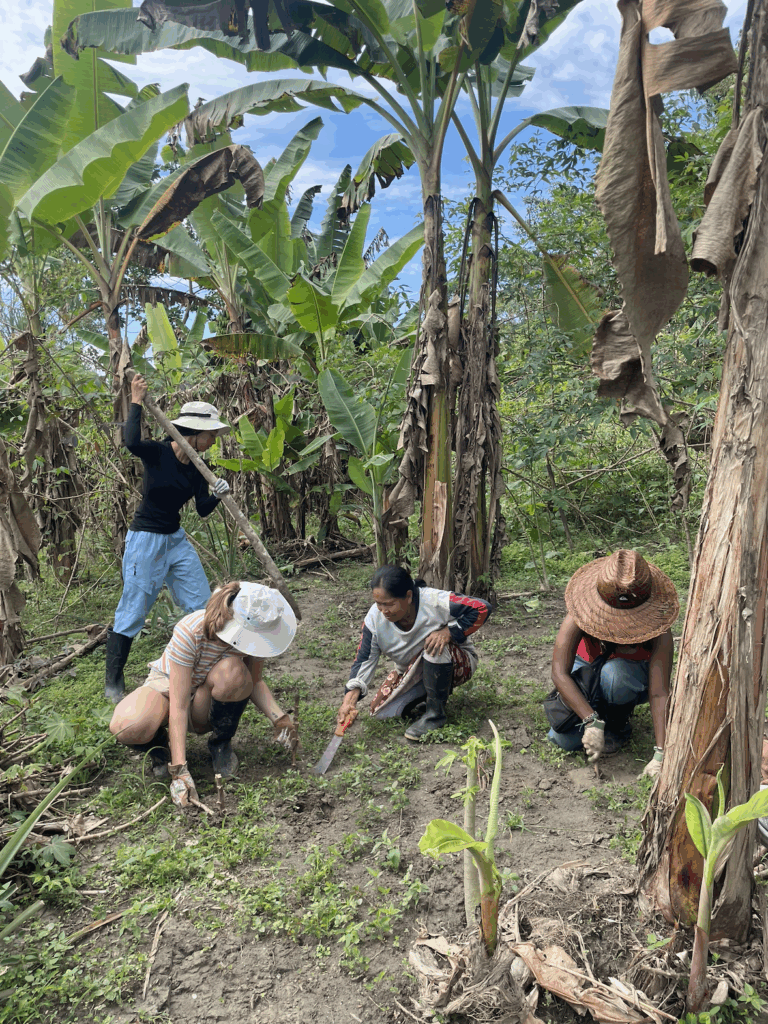 Four people are weeding and working the soil among plants in an outdoor garden under a partly cloudy sky.