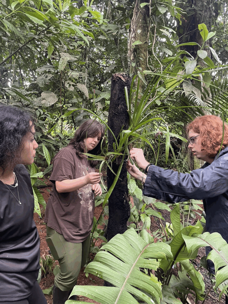 Three people examine a plant in a dense, green forest setting.