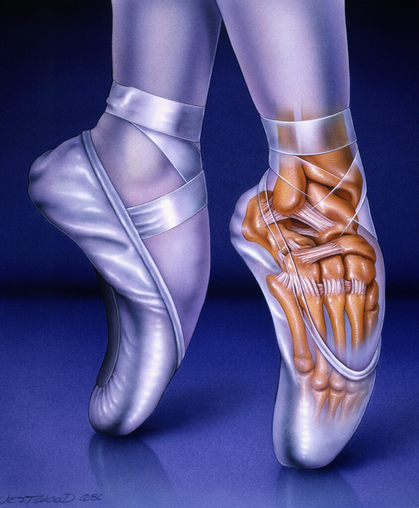 Illustration of a ballet dancer en pointe, with one foot showing bones and tendons through a transparent overlay.