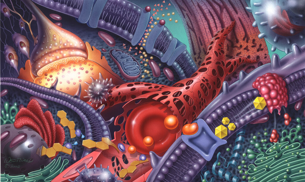 Colorful illustration of cellular structures, including mitochondria, ribosomes, endoplasmic reticulum, and a red blood cell.