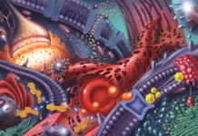 Mercer alumnus played prominent role advancing medical illustration field Colorful illustration of cellular structures, including mitochondria, ribosomes, endoplasmic reticulum, and a red blood cell.