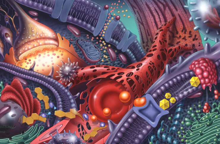 Colorful illustration of cellular structures, including mitochondria, ribosomes, endoplasmic reticulum, and a red blood cell.
