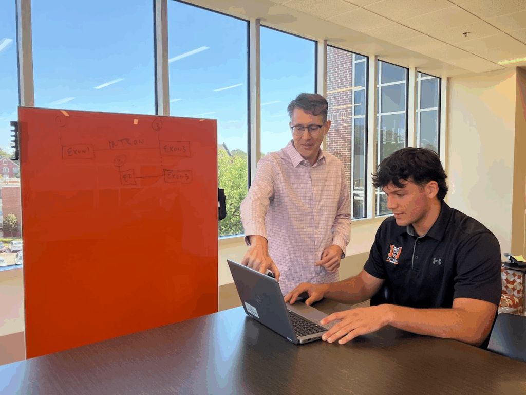 Two people work together at a table; one points at a laptop while the other types, with a whiteboard in the background.
