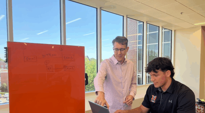 Biology professor earns EXPy Award for gene project work Two people work together at a table; one points at a laptop while the other types, with a whiteboard in the background.