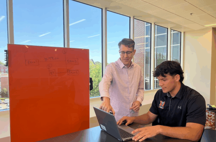 Two people work together at a table; one points at a laptop while the other types, with a whiteboard in the background.