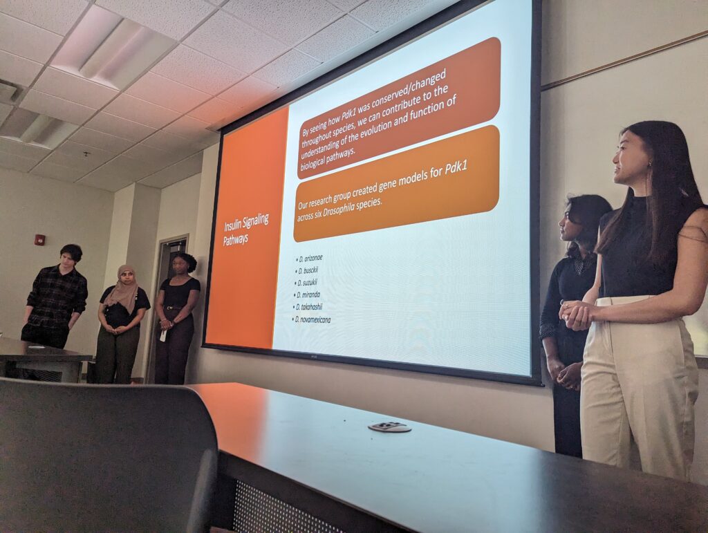 Five people stand near a projector screen displaying a research presentation in a classroom.