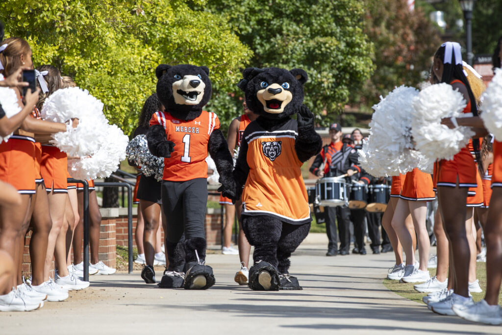 Two bear mascots in orange jerseys walk between cheerleaders with pom-poms on a sunny outdoor pathway.