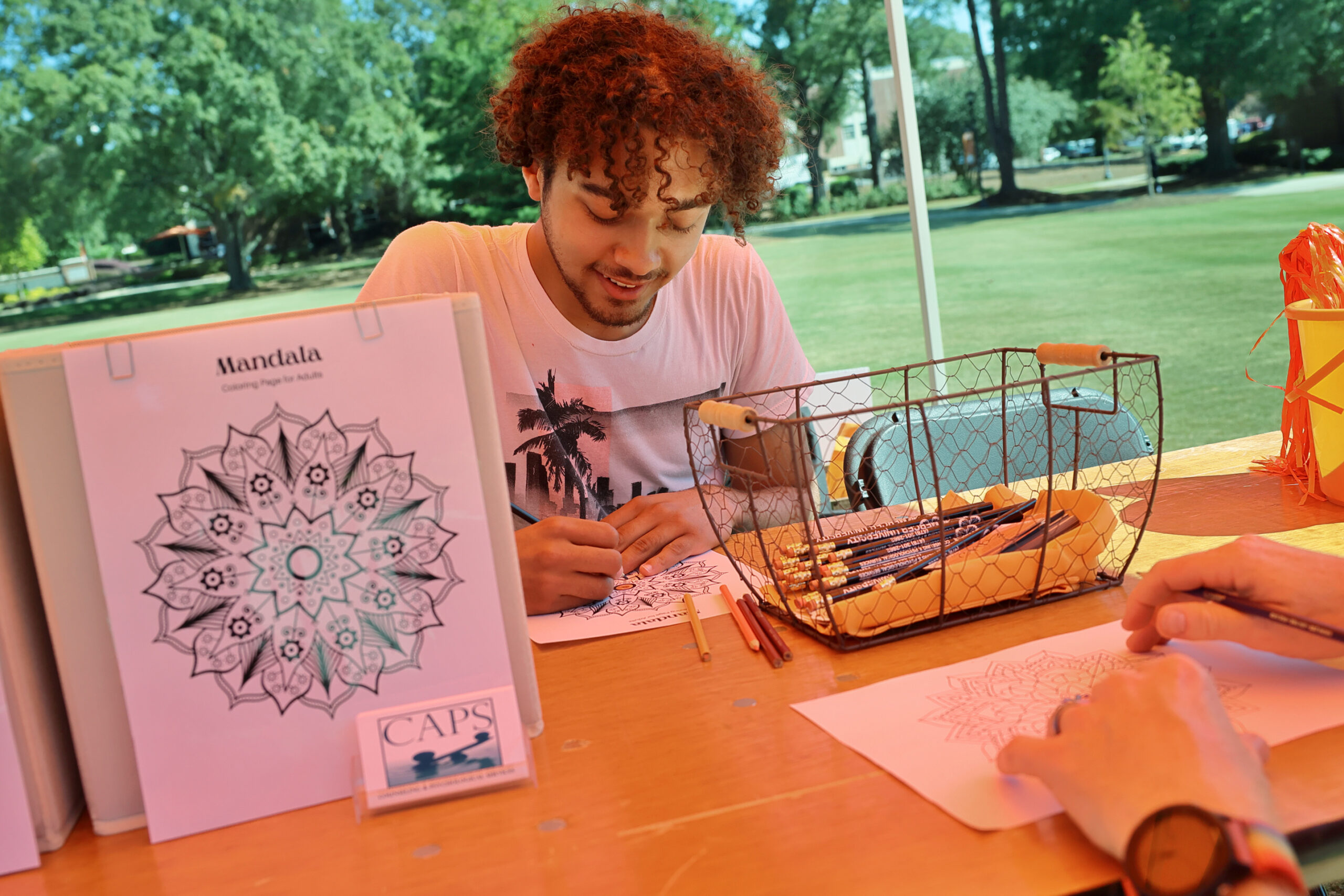 Princeton Review names Mercer to 2026 Mental Health Services Honor Roll