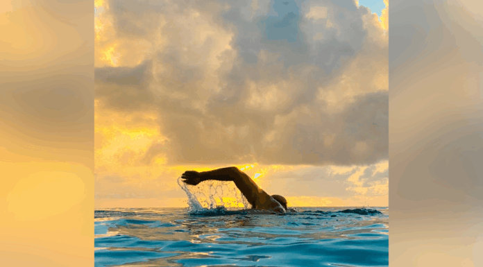 Alumnus embraces life’s journey in career, swimming A swimmer performs a freestyle stroke in open water at sunset, with clouds and golden light in the sky.
