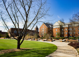 Faculty and Staff Notables | December 2025 A tree in front of a building.