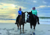Discovering her calling: How Professor Margie Alsbrook’s journey led to Mercer Law Two women riding horses on a sandy beach with the ocean and a cloudy sky in the background at sunset.