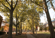 What trees can teach us about supporting each other | Dr. Craig McMahan A tree-lined campus walkway with buildings on either side, lit by sunlight filtering through the branches.