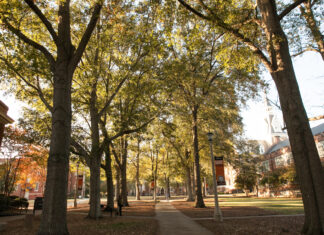 What trees can teach us about supporting each other | Dr. Craig McMahan A tree-lined campus walkway with buildings on either side, lit by sunlight filtering through the branches.