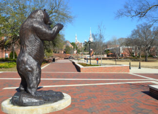 Faculty and Staff Notables | February 2026 A bronze bear statue stands on a brick plaza with campus buildings and trees in the background.