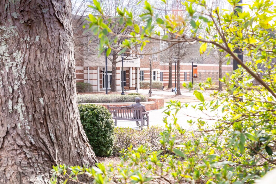 A large tree and green shrubs frame a view of a bench and brick campus building in the background on a sunny day.