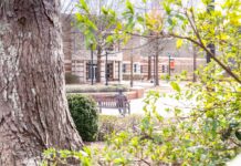 Faculty and Staff Notables | March 2026 A large tree and green shrubs frame a view of a bench and brick campus building in the background on a sunny day.