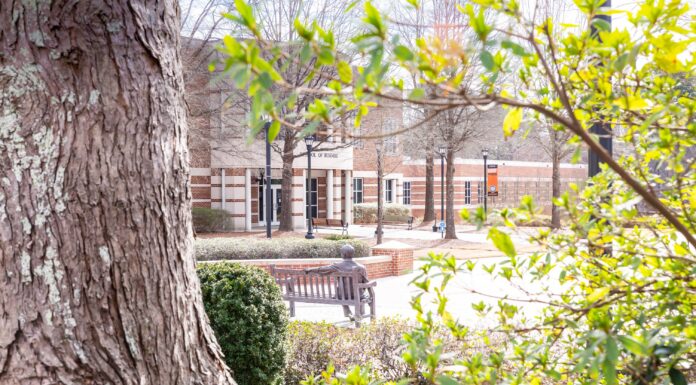 Faculty and Staff Notables | March 2026 A large tree and green shrubs frame a view of a bench and brick campus building in the background on a sunny day.
